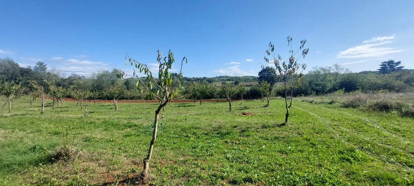 atraktivni zemljišni kompleks idealan za turistički projekt ili obiteljsko imanje - slika 4