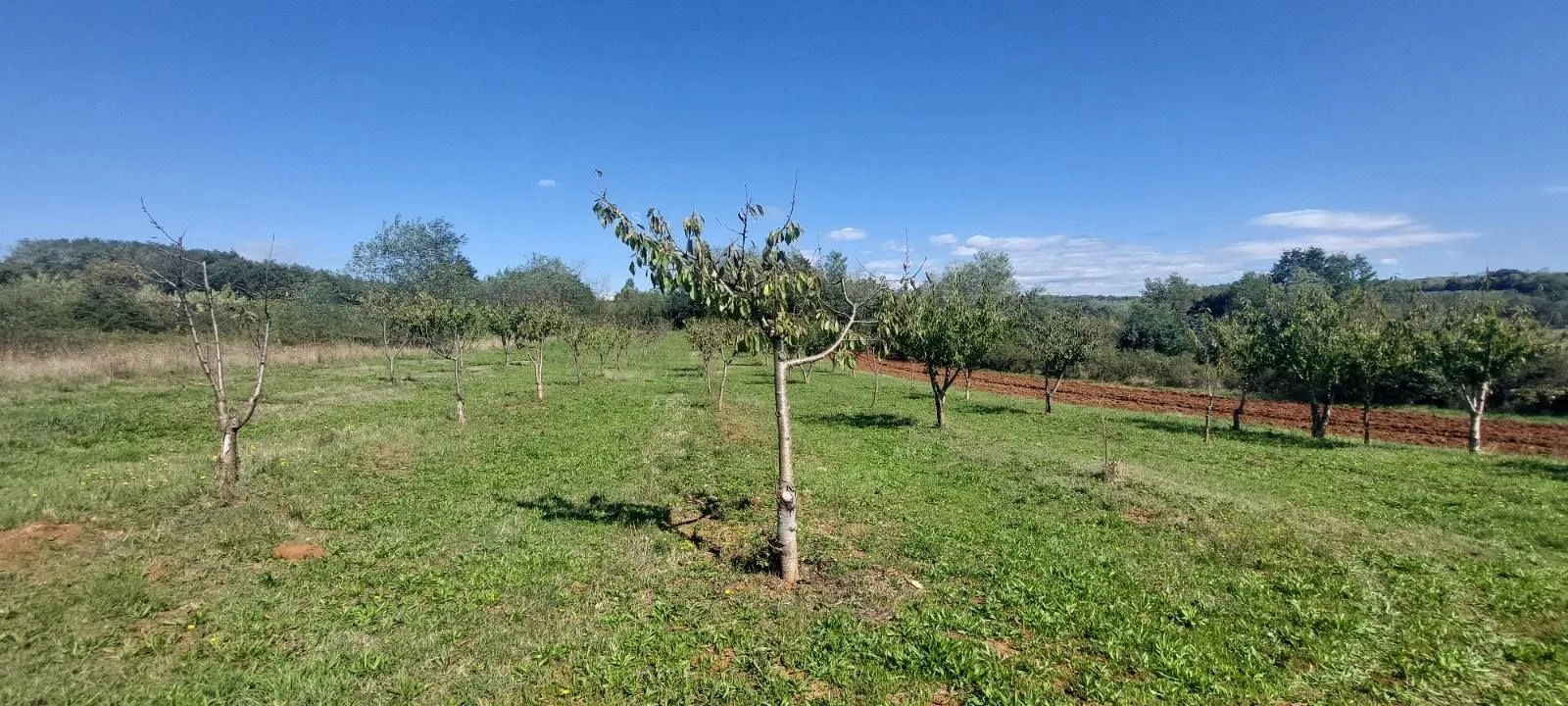 atraktivni zemljišni kompleks idealan za turistički projekt ili obiteljsko imanje - slika 6