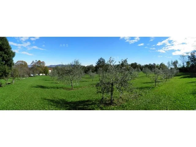 veliko, iznimno lijepo i održavano imanje na osami - slika 5