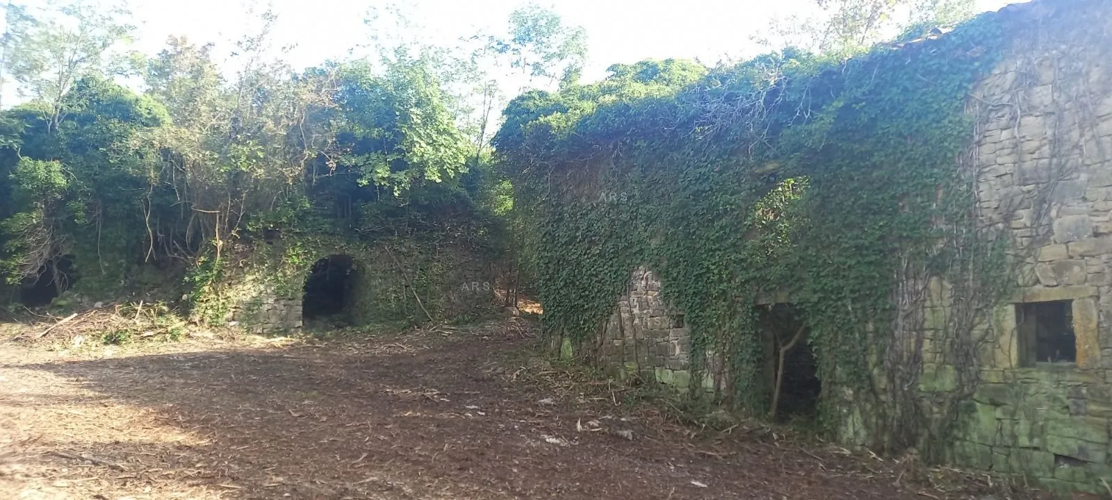 ZELENA OAZA S 3 KAMENE KUĆE NA 4.414 m2 GRAĐEVINSKOG ZEMLJIŠTA - Potpićan, Kršan