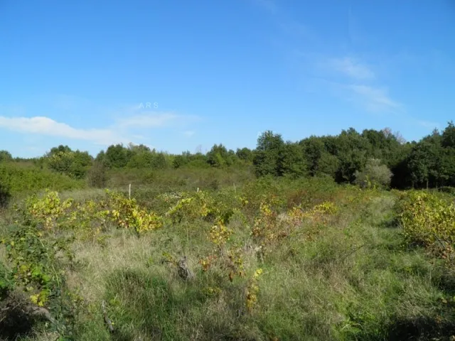 Velika Poljoprivredna Cjelina - Labin, Labin