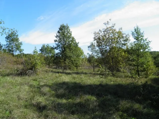 velika poljoprivredna cjelina - slika 2