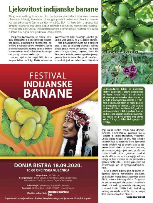 asimina triloba sadnice cijepljena dolazi u rod nakon 2-3 god.40 sorti - slika 4