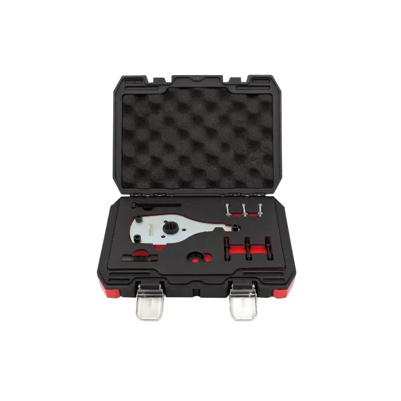 Set alata za demontažu/montažu za pumpu goriva, Ford 2.0 Ecoblue - Prelog