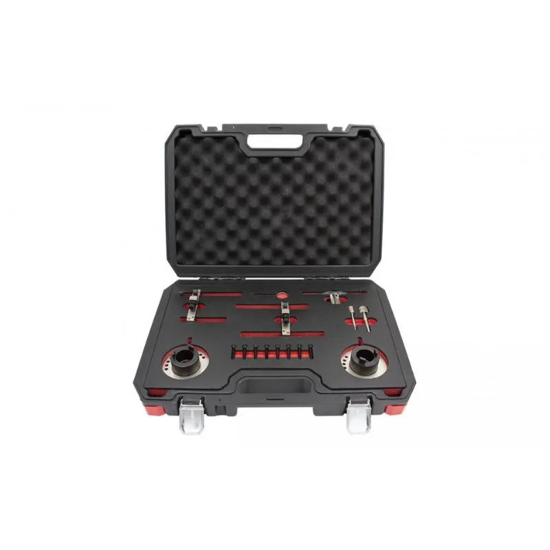 set alata za fazu motora ford 1.0 ecoboost - slika 2