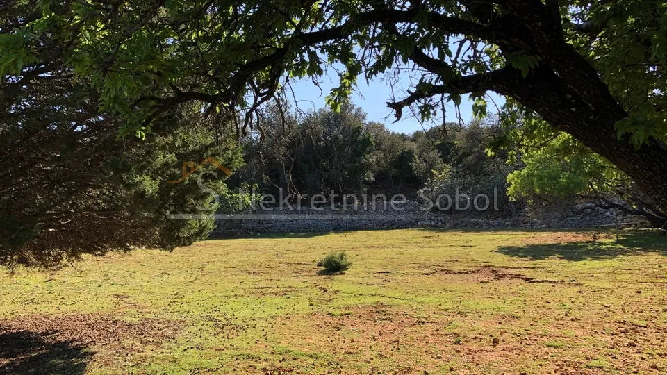 punta križa, otok cres - zemljište, 76133 m2 prodaja - slika 4