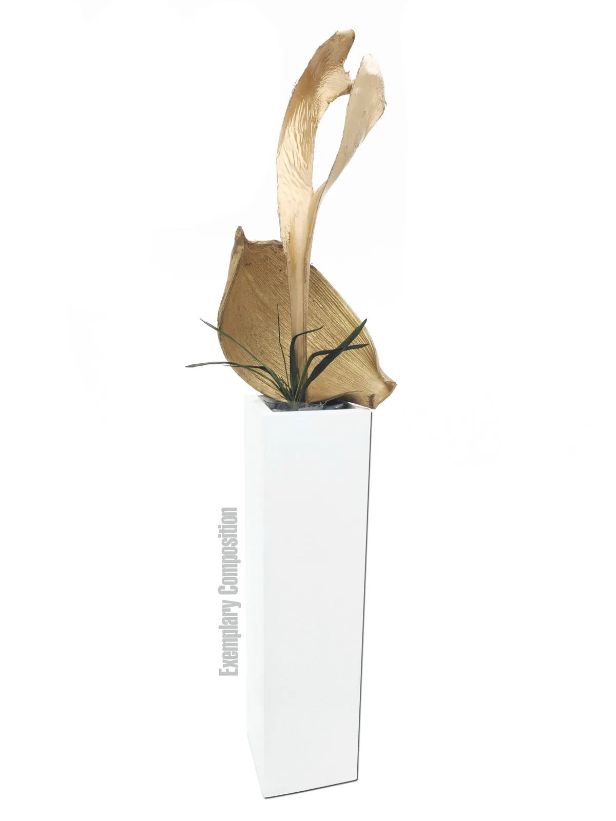europalms palm leaf, dried, gold - slika 2