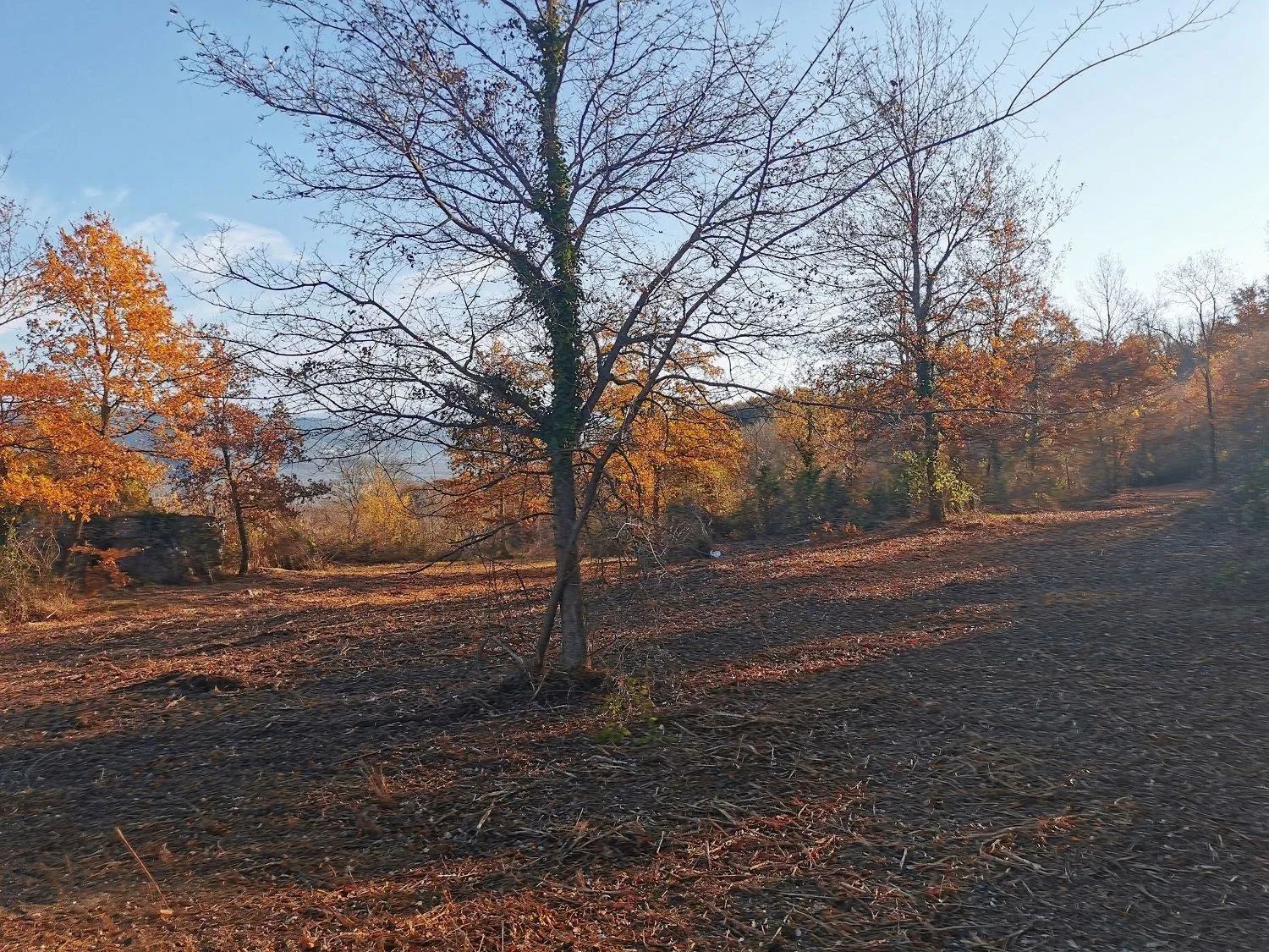vižinada- građevinsko zemljište na osami - slika 10
