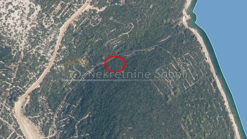 ćunski, otok lošinj - poljoprivredno (šuma), 4756 m2 prodaja - slika 2