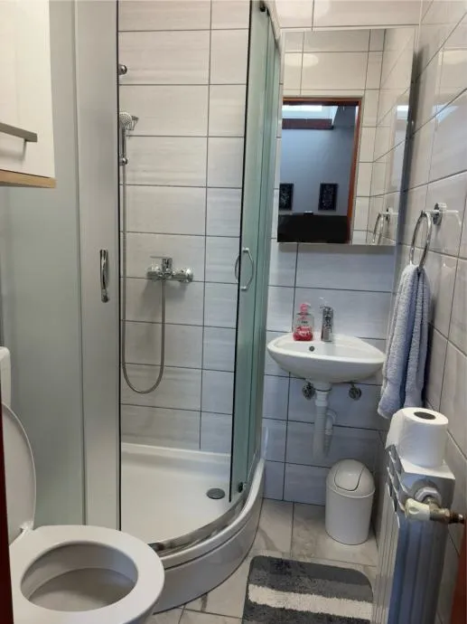 kuća: osijek, retfala, visoka prizemnica, 308m2 (+66m2 dvorišni stan) - slika 6