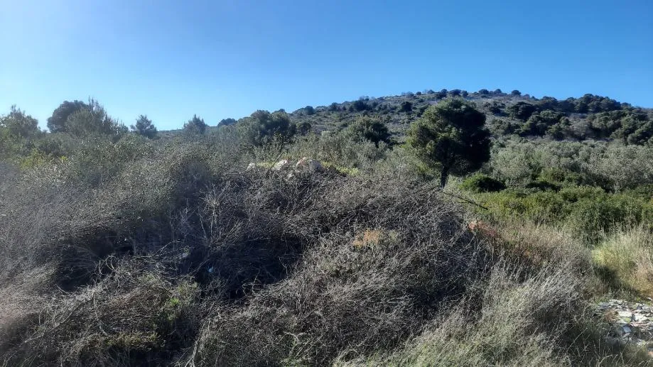 !!poljoprivredno zemljište 50 metara od mora, murter, 527 m2 - slika 3