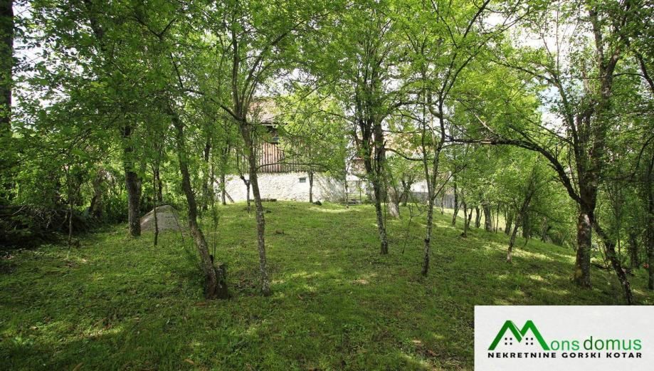 stara kuća na krasnim, voltanim podrumima (prodaja) - slika 15