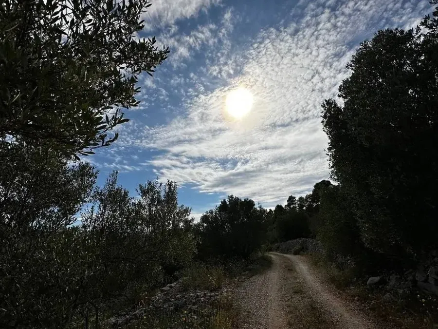 poljoprivredno zemljište na prodaju - vela luka - slika 11