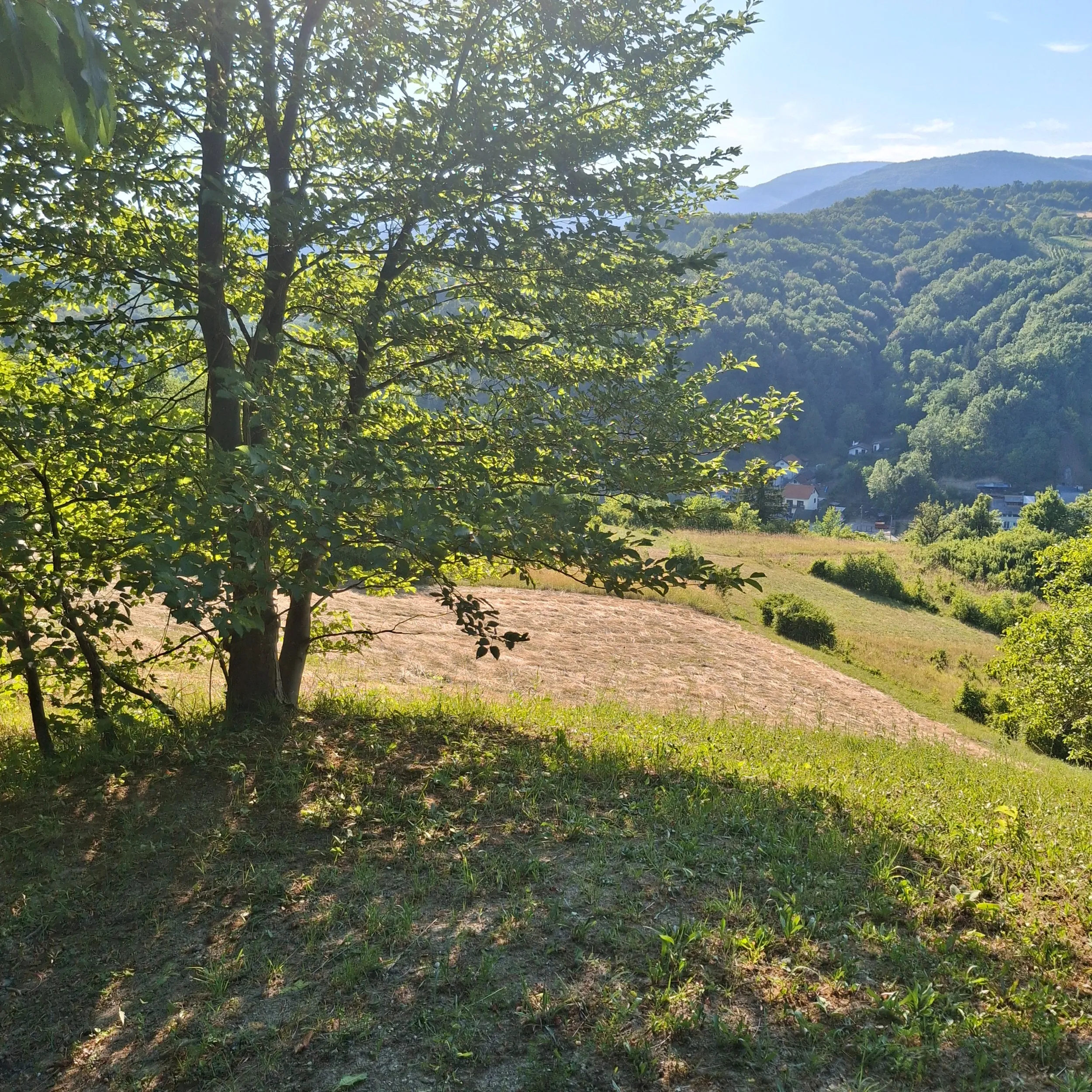 prodaja poljoprivrednog zemljista - slika 12