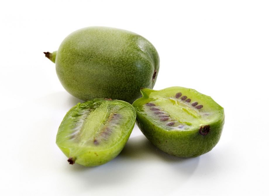 bio mini kiwi - slika 2