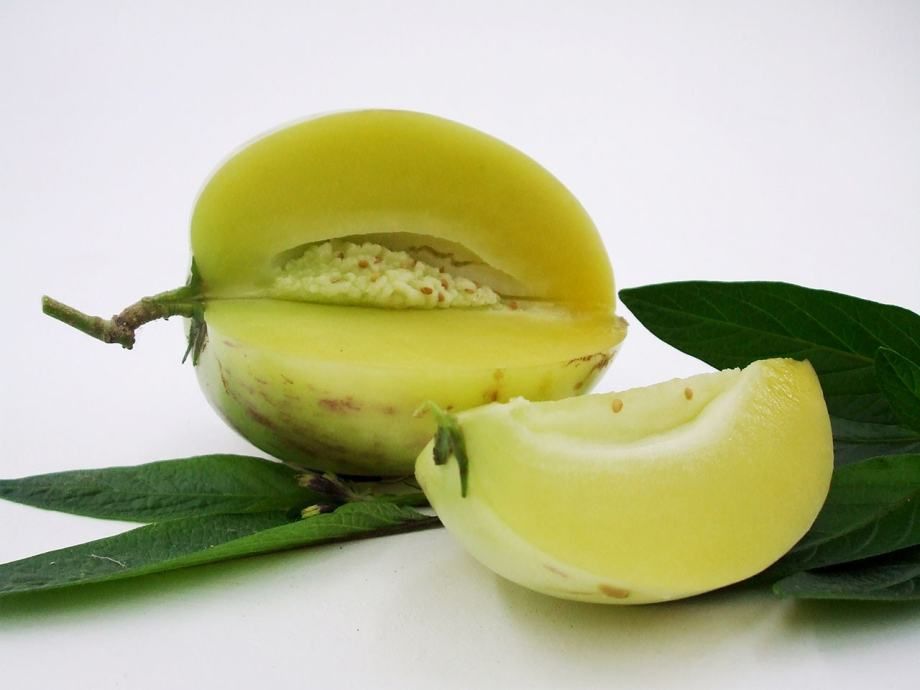 Bio Pepino Dinja S Anda