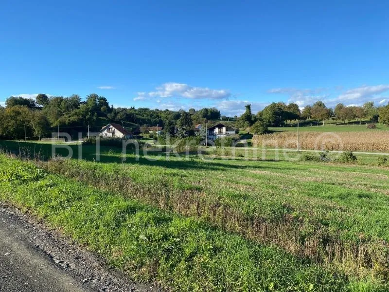 zemljište prodaja vinica 11800 m2 - slika 2
