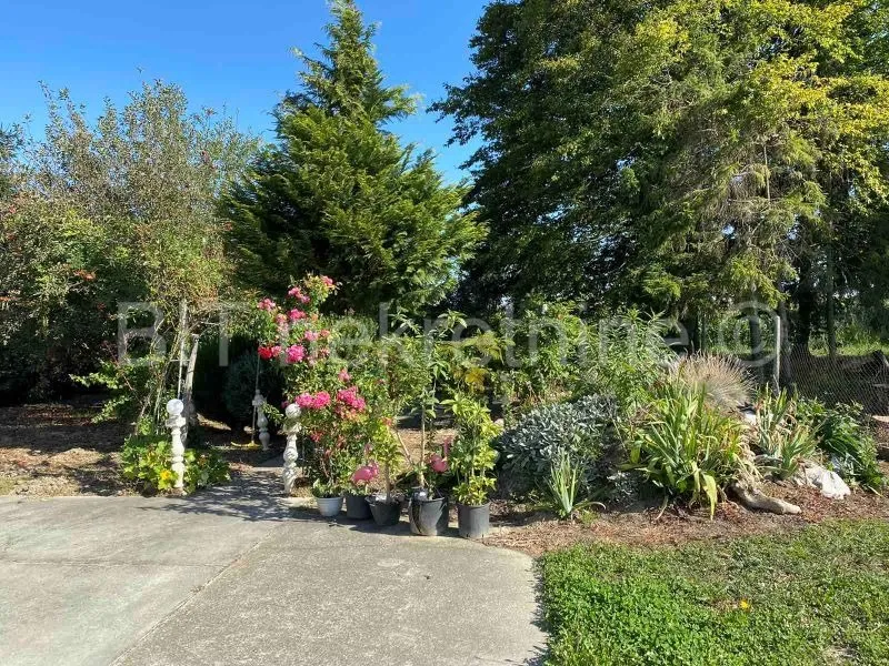 kuća prodaja novigrad podravski 230 m2 - slika 17