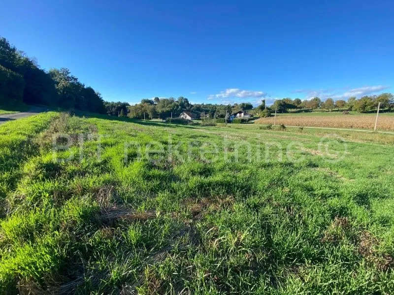 Zemljište Prodaja Vinica 11800 m2 - Vinica, Koprivnica