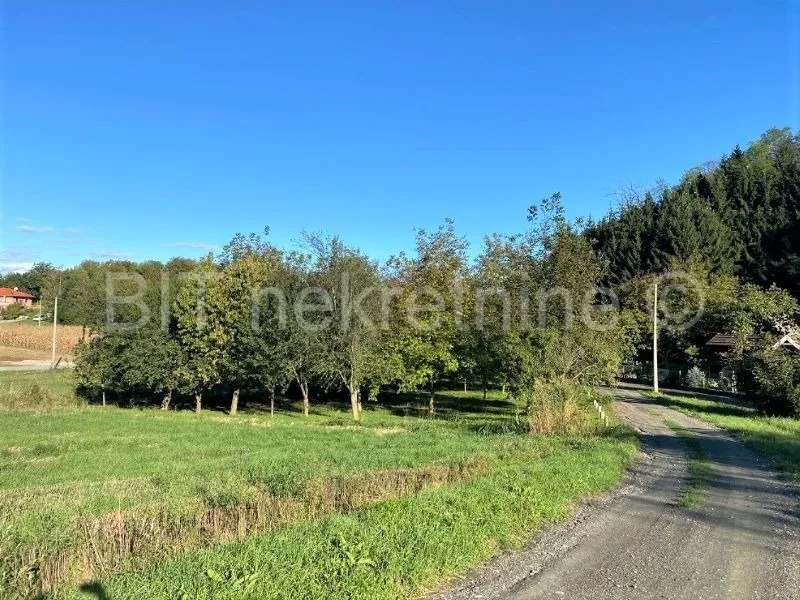 zemljište prodaja vinica 11800 m2 - slika 4