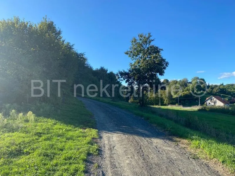 zemljište prodaja vinica 11800 m2 - slika 3