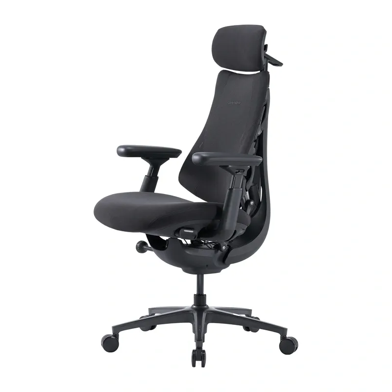 libernovo omni pro 48 cm ergonomic chair (graphite) - slika 3