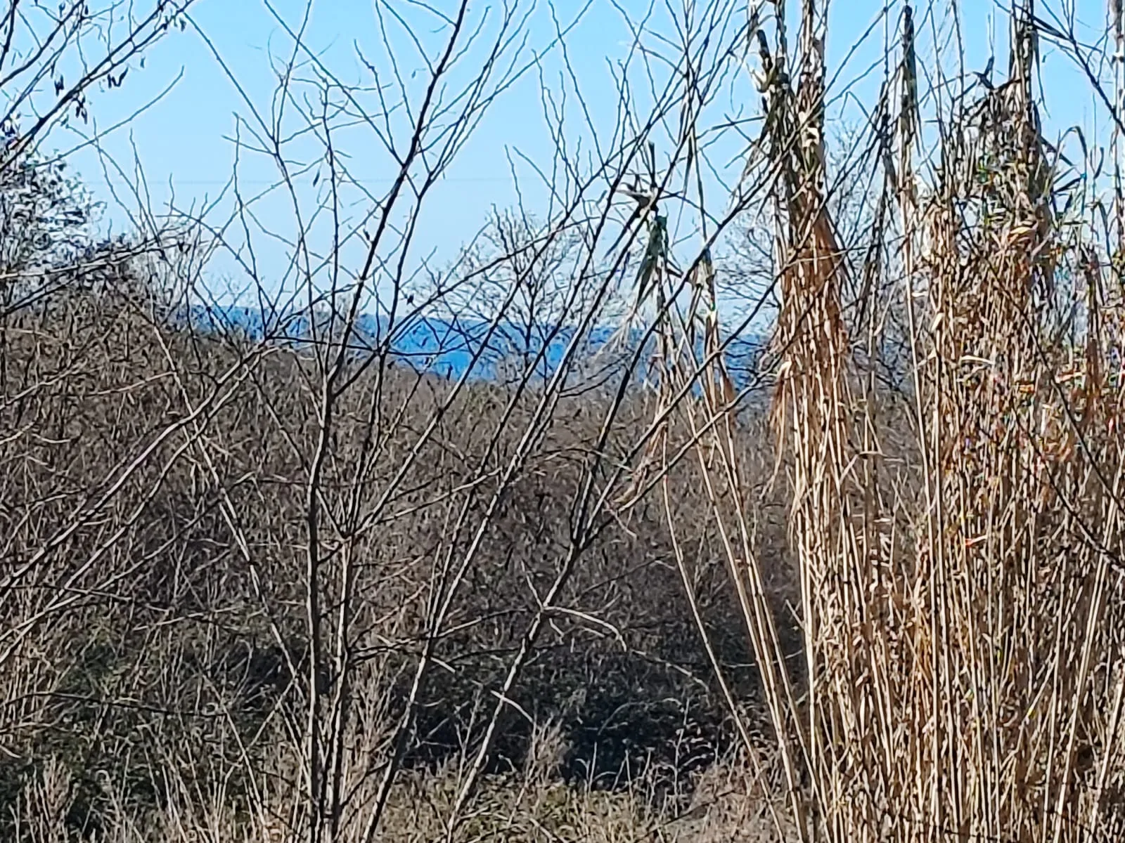 građevinski teren - 15360 m2 - slika 1