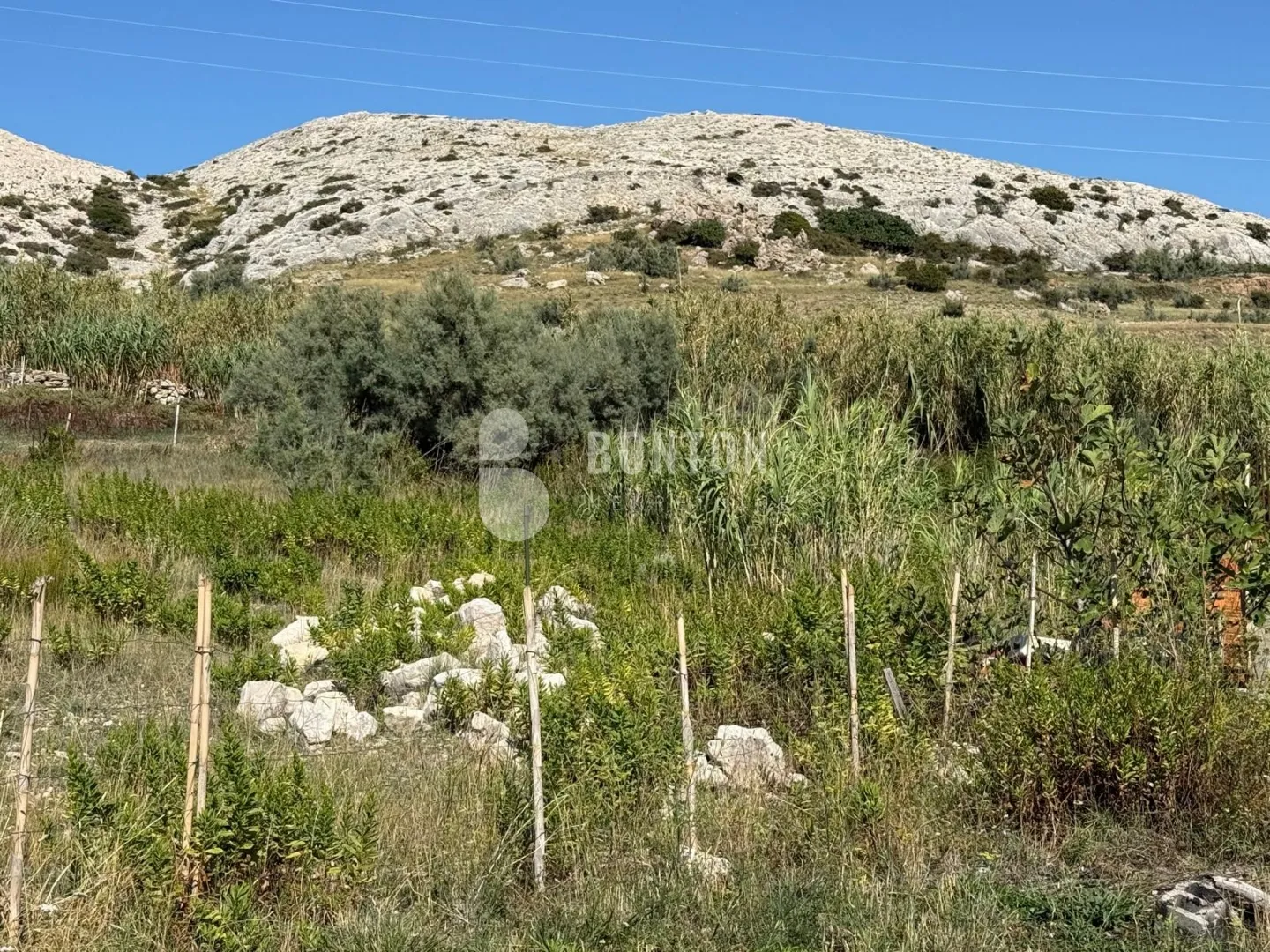 građevinsko zemljište-gorica pag,dinjiška moguča kompezacija - slika 2