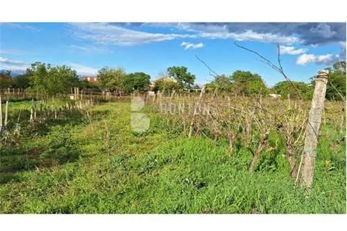 žerava-građevinsko zemljište 610 - slika 14