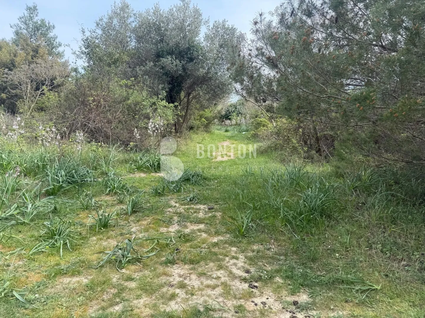 mješovito zemljište iznad zadra- crno - slika 8