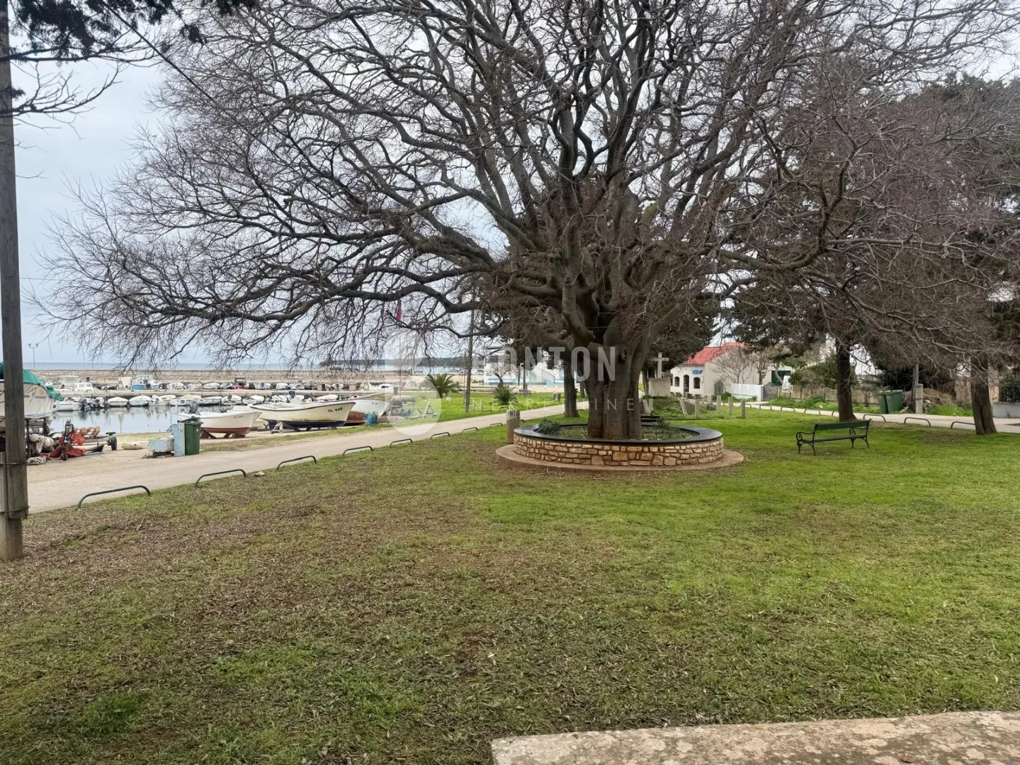 olib-posebna samostojeća kuća 80 metara od mora-pogled - slika 11