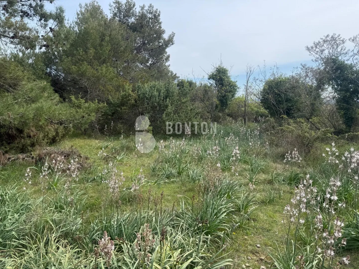 mješovito zemljište iznad zadra- crno - slika 6