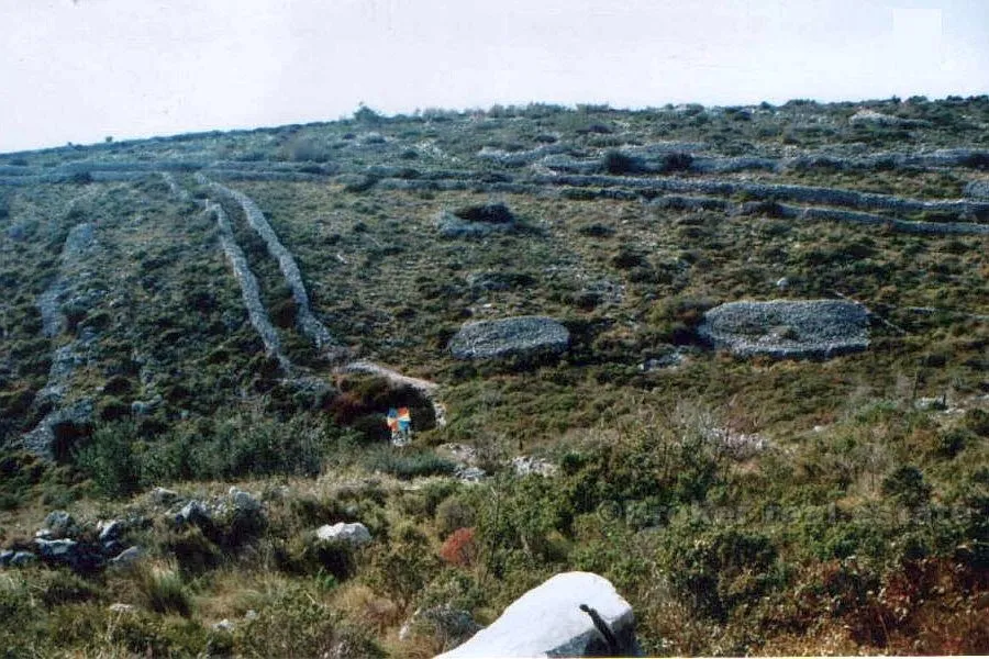zemljište od 52 000 m2, na prodaju - slika 7