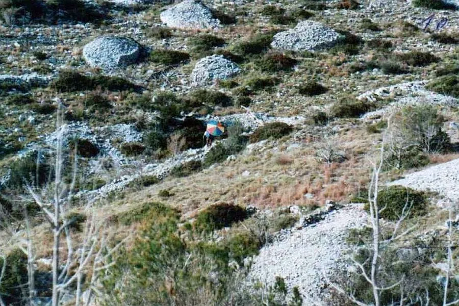 zemljište od 52 000 m2, na prodaju - slika 6