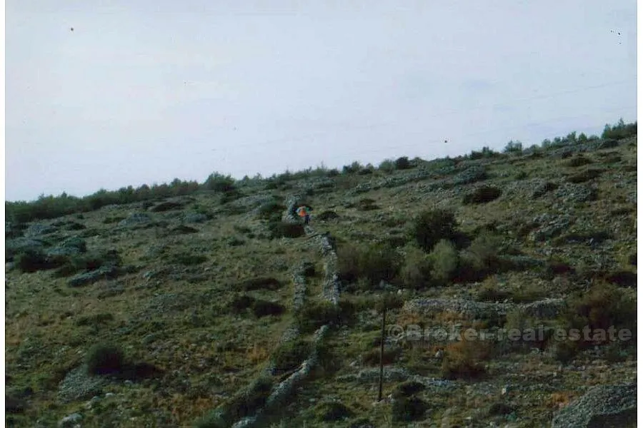 zemljište od 52 000 m2, na prodaju - slika 4