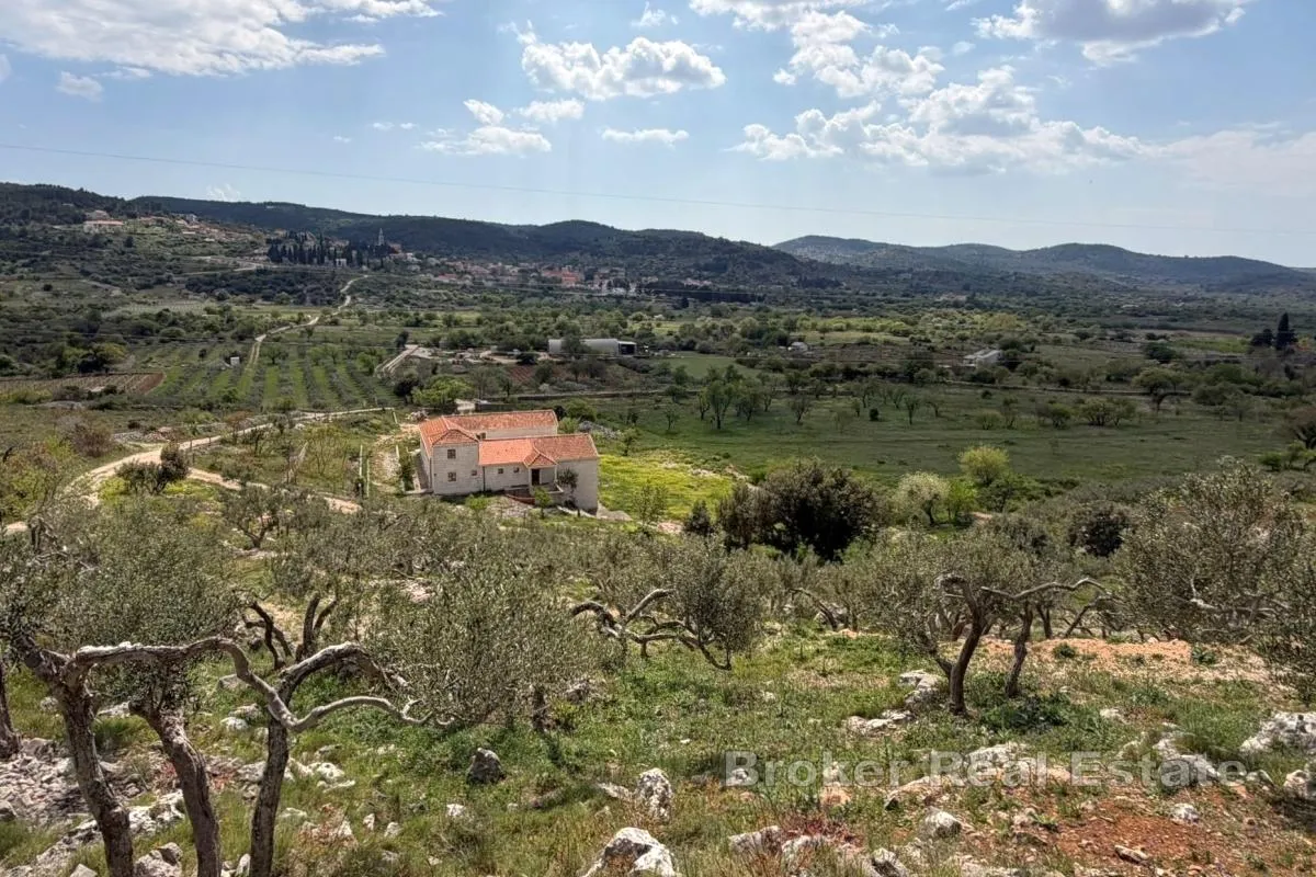 Hacijenda s iznimnim potencijalom - Brač, Brač