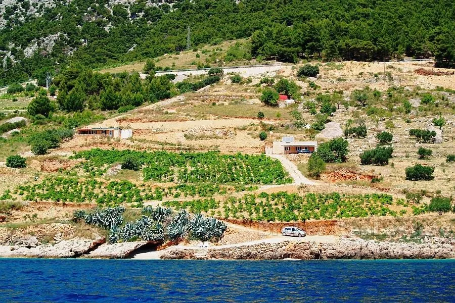 Jedinstveno zemljište, za prodaju - Brač, Brač