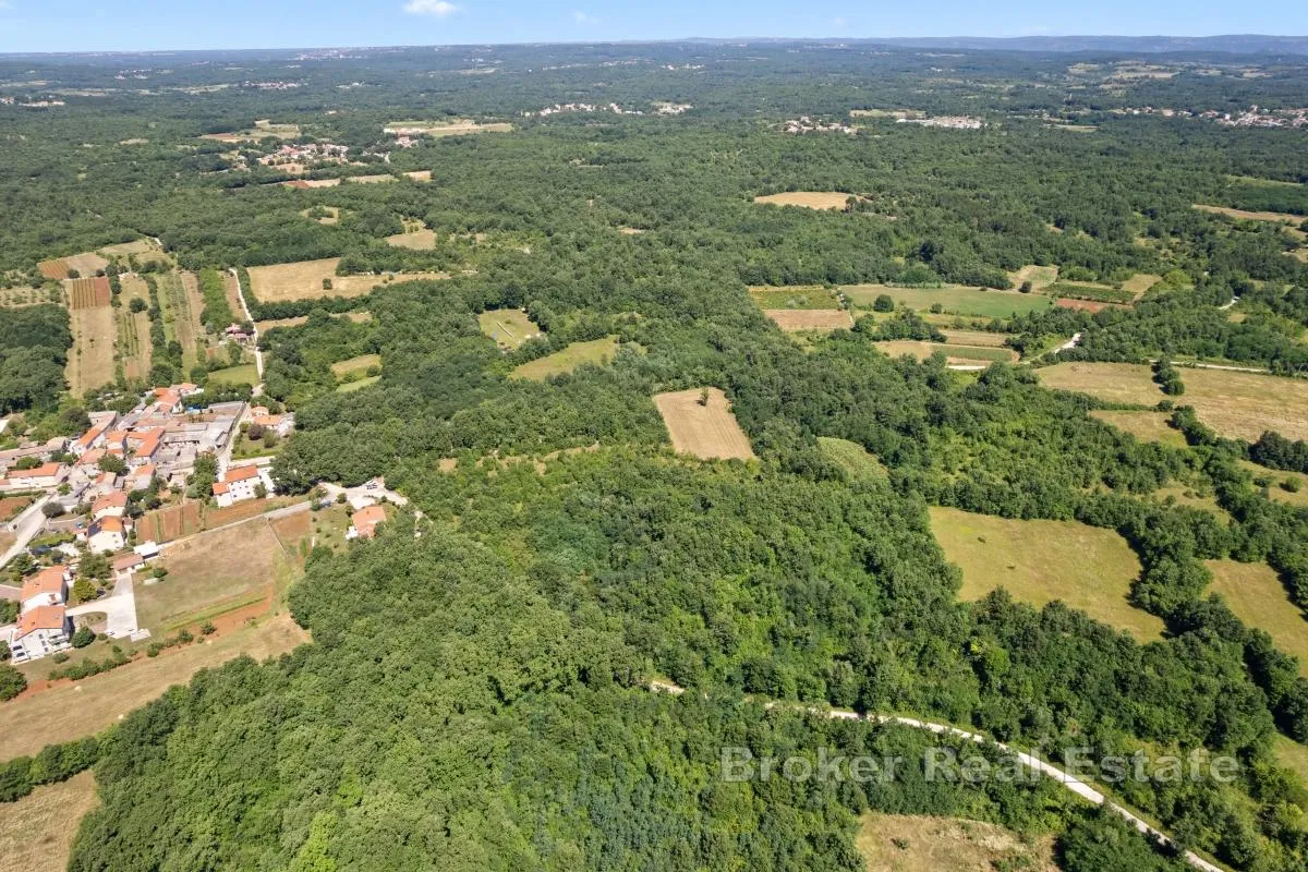 Atraktivno zemljište u mirnom okružju - Poreč