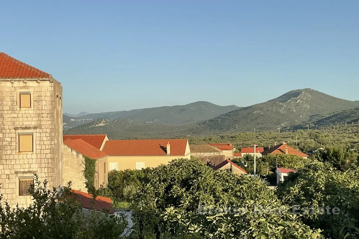 kuća u vinogradskom kraju - slika 12