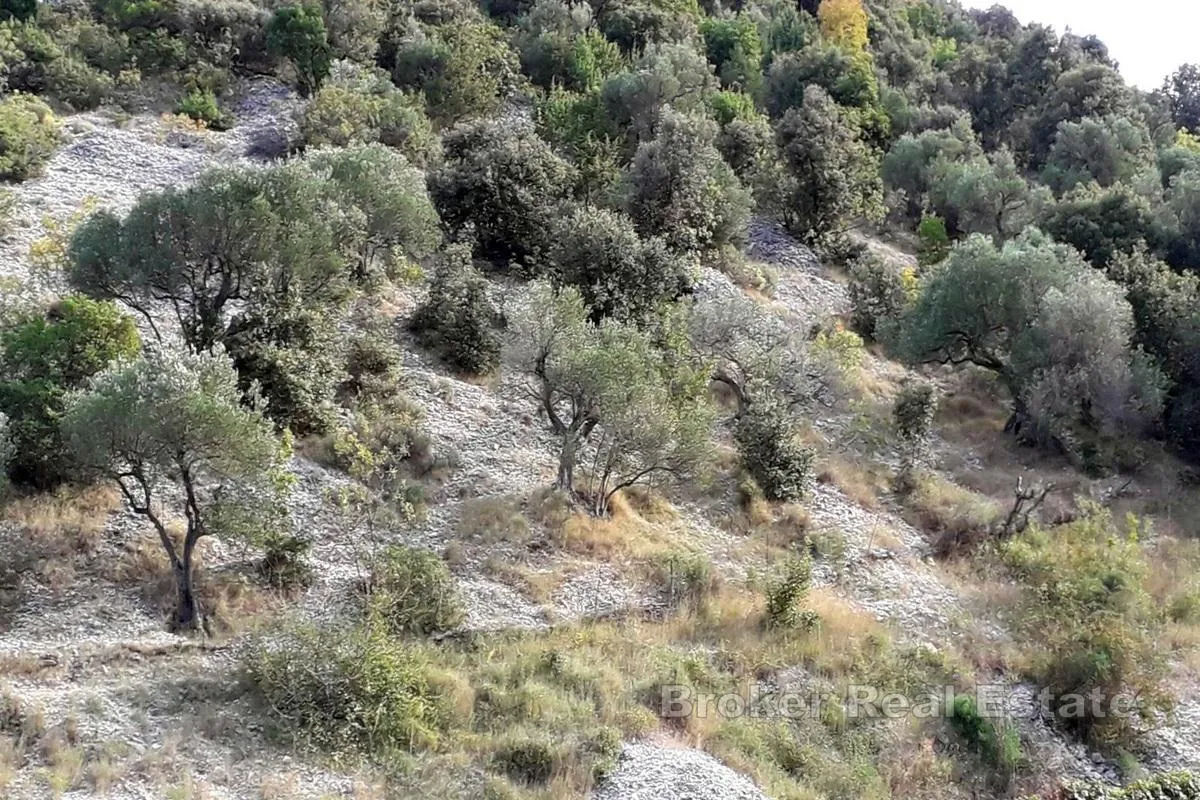 poljoprivredno zemljište s mogućnošću gradnje - slika 5