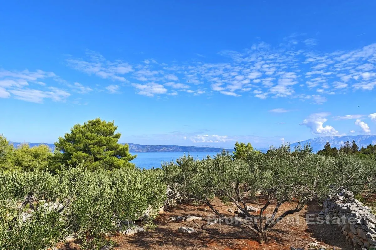 Poljoprivredno zemljište s kamenim objektom - prvi red do mora - Hvar