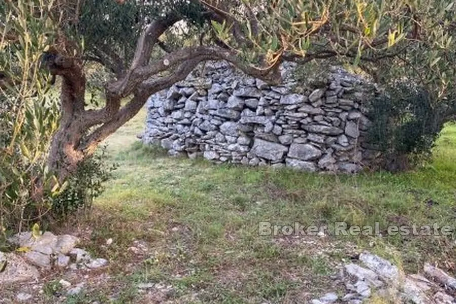 poljoprivredno zemljište s pogledom na more - slika 4