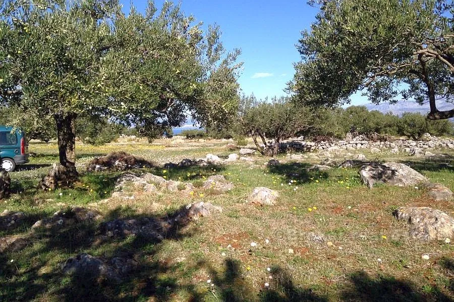Poljoprivredno zemljište za prodaju - Brač, Brač