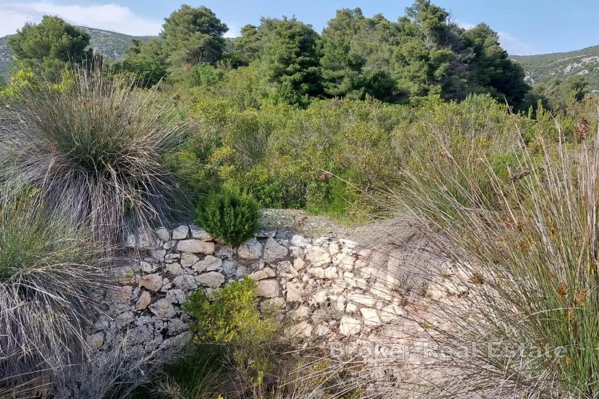 privatni otok, mirna oaza u srcu prirode - slika 8