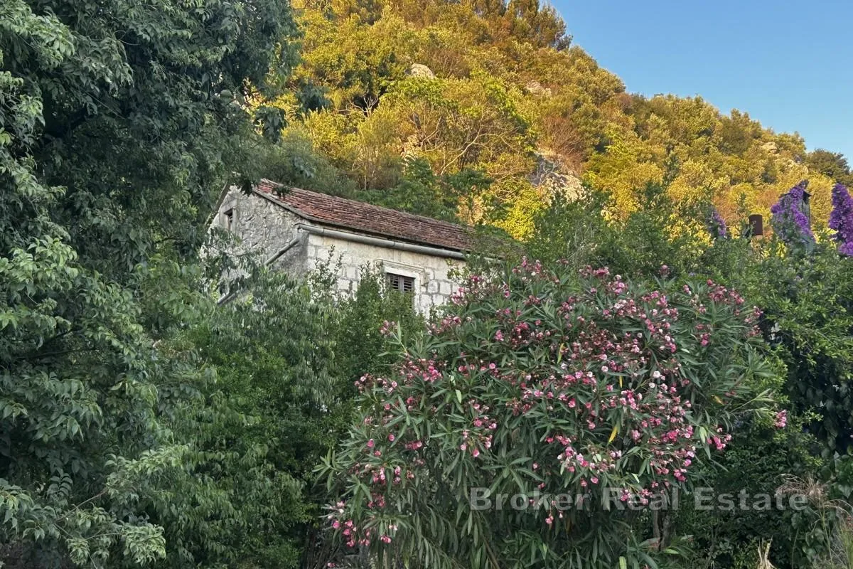 dvojna kamena kuca za renovaciju - slika 1