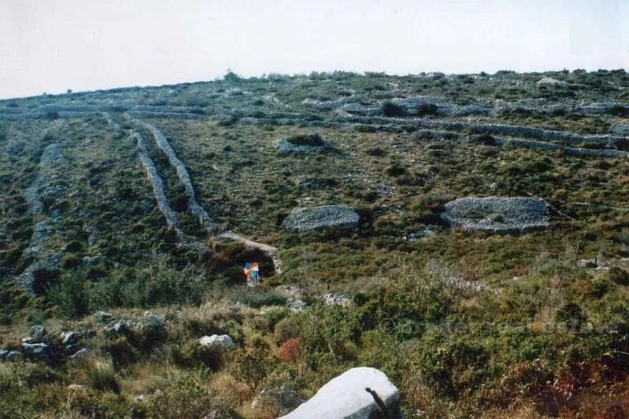 zemljište od 52 000 m2, na prodaju - slika 3
