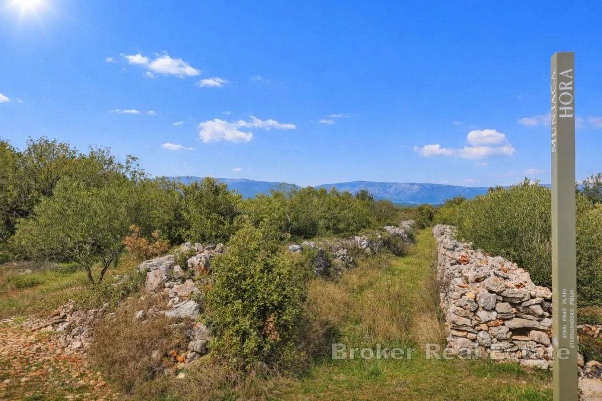 Poljoprivredno zemljište u UNESCO zoni - Hvar