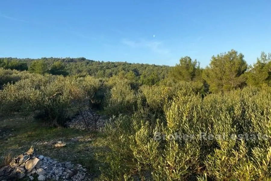 poljoprivredno zemljište s pogledom na more - slika 3