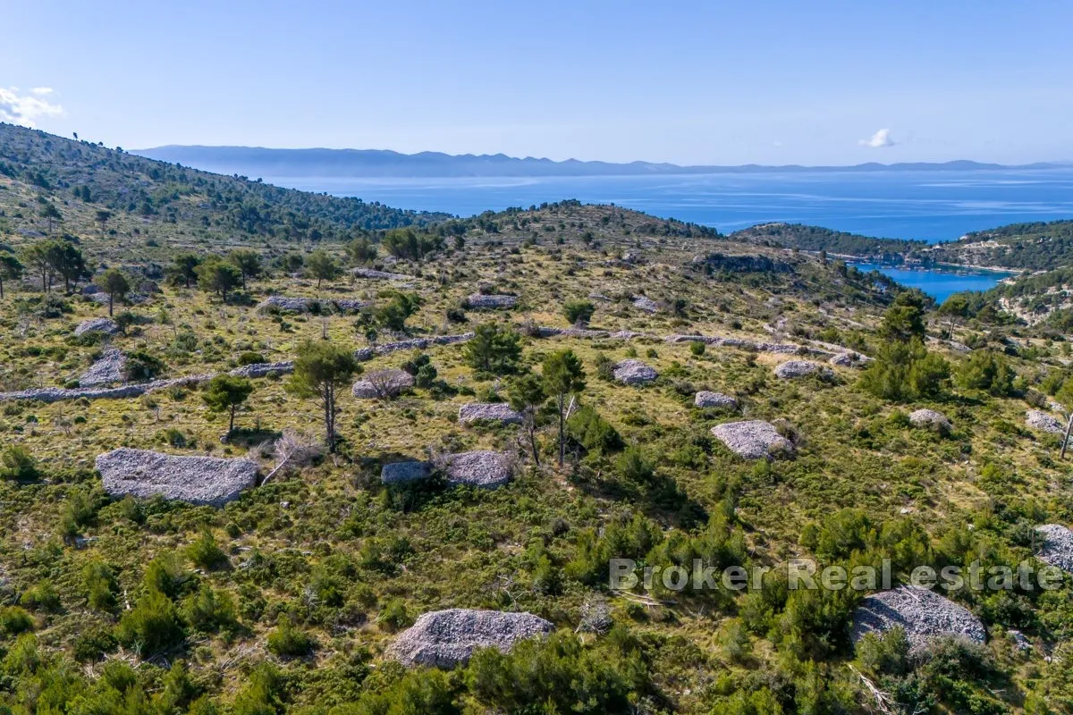 Prostrano poljoprivredno zemljište s pogledom na more - Brač, Brač