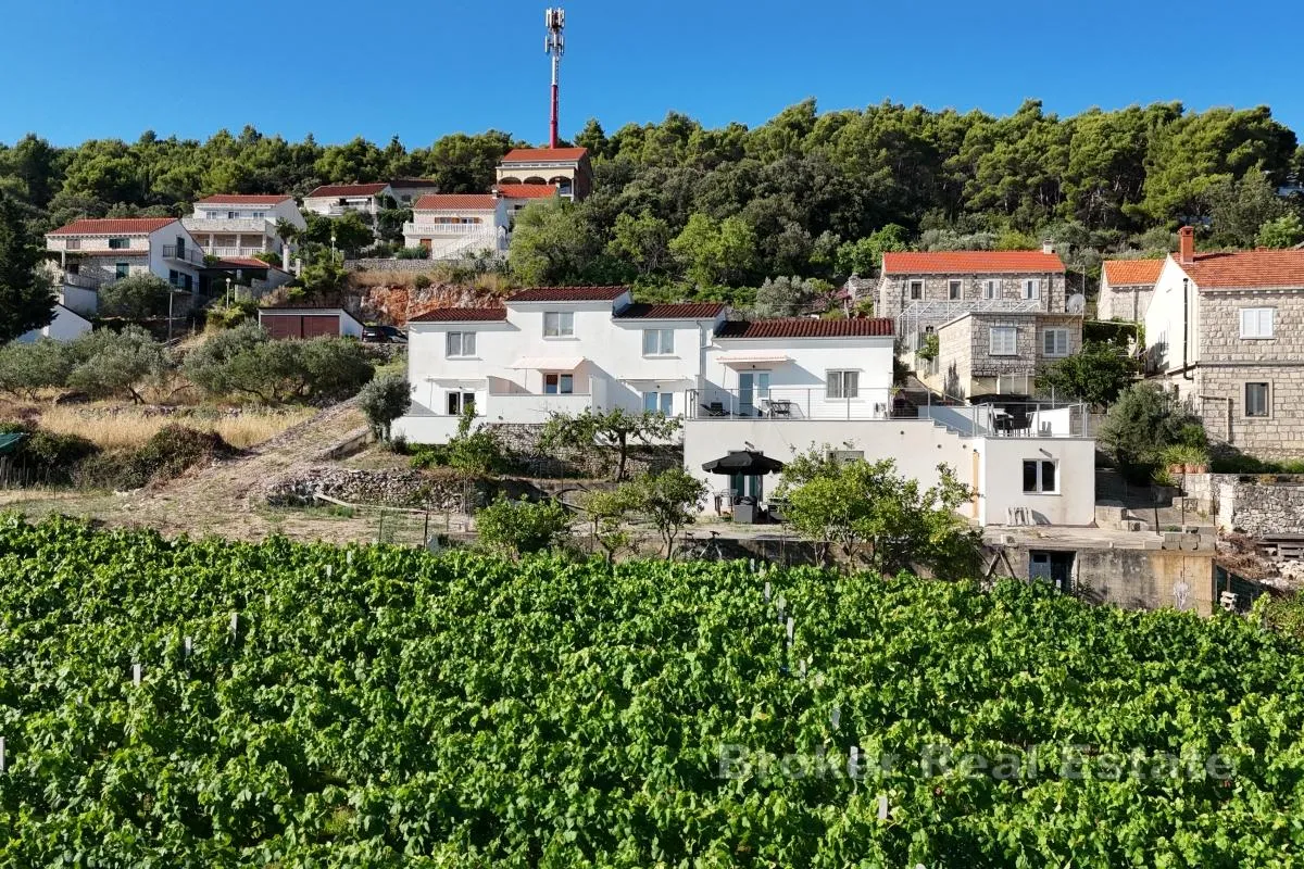 apartmanska kuća s pogledom na more - slika 7